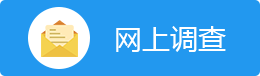 网上调查