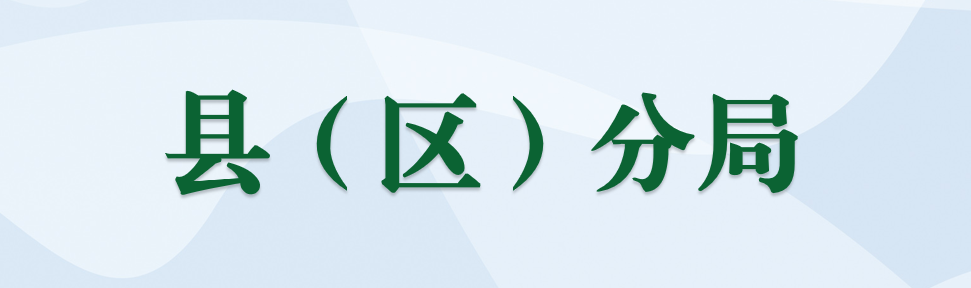 县（区）分局